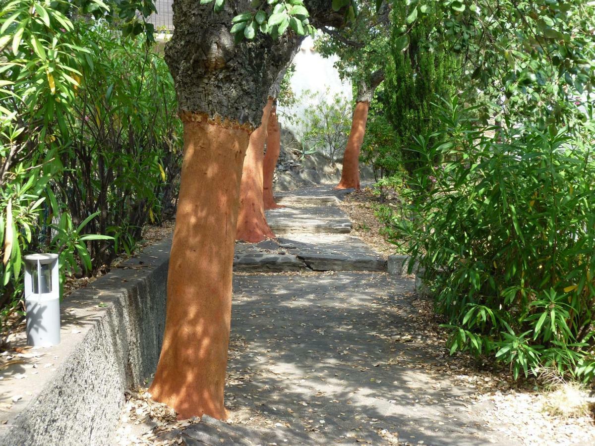 Les Mimosas Villa Collioure Eksteriør bilde